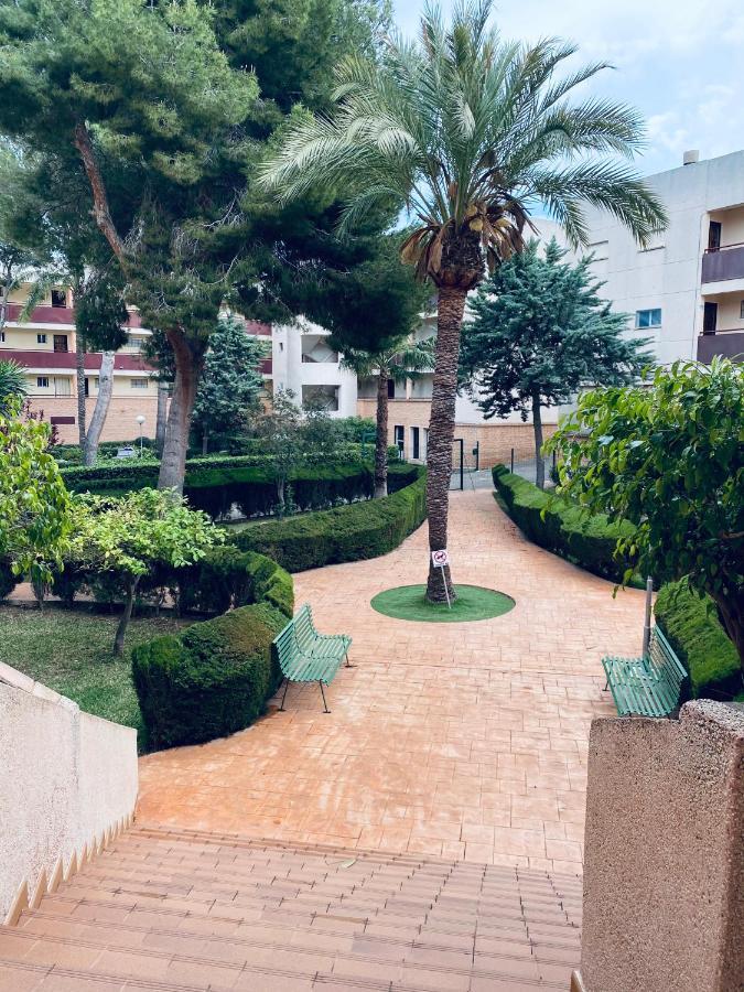פילאר דה לה הורדאדה Apartamento Mil Palmeras מראה חיצוני תמונה